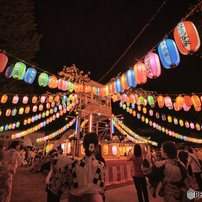 OLYMPUS(オリンパス)のレンズ M.ZUIKO DIGITAL ED 7-14mm F2.8