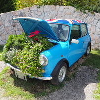 ✨極美品✨オリンパス E-PL9 ボディ❤️ショット数わずか1,512回！ ✨極美品✨オリンパス E-PL9 ボディ❤️ショット数わずか1,512回