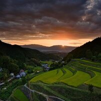 NIKON(ニコン)のデジタル一眼D750 で撮影した写真(画像)一覧- 写真共有