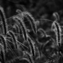 【撮影46枚 】Panasonic LUMIX DMC-G8M 美品 パナソニック LUMIX DMC-G8M 標準ズームレンズキット 価格比較 - 価格.com