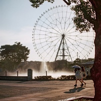 NIKON(ニコン)のレンズ Ai Nikkor 50mm f/1.2S で撮影した写真