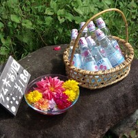 PENTAX(ペンタックス)のレンズ smc PENTAX-DA☆ 16-50mm F2.8ED AL[IF