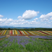 PANASONIC(パナソニック)のレンズ LUMIX G VARIO 7-14mm/F4.0 ASPH. H