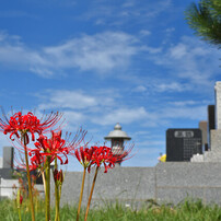 NIKON(ニコン)のレンズ AF-S NIKKOR 35mm f/1.8G ED で撮影した写真