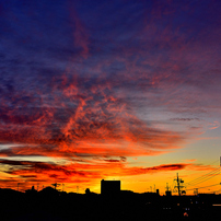 NIKON(ニコン)のデジタル一眼D7200 で撮影した写真(画像)一覧