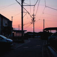OLYMPUS(オリンパス)のミラーレス一眼OLYMPUS PEN E-PL8 で撮影