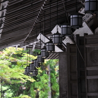 タムロン 18-270mm f3.5-6.3Di Ⅱ VC ほぼ新品【作例あり】 TAMRON｜高倍率ズームレンズ／18-270mm F/3.5-6.3 Di II VC PZD