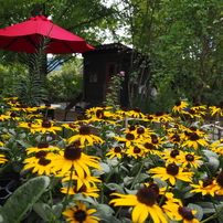 ✨極美品✨オリンパス E-PL9 ボディ❤️ショット数わずか1,512回！ オリンパス OLYMPUS PEN E-PL9 ボディ [ブラウン] 価格比較