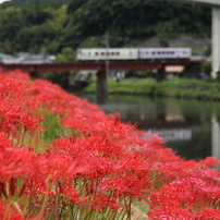 TAMRON(タムロン)のレンズ SP AF 17-50mm F/2.8 XR Di II LD