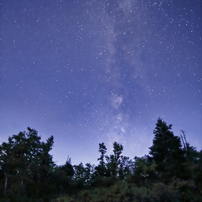 SAMYANG(サムヤン)のレンズ 14mm F2.8 IF ED UMC Aspherical [キヤノン