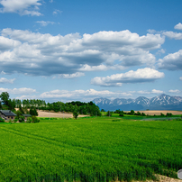 【作例あり】ニコン AF-S NIKKOR 28-300mm VR Nikon 28-300mm f3.5-5.6G ED VR Sample Images - Real-World Examples