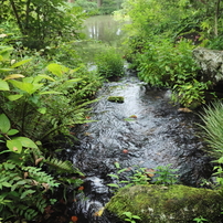 CANON(キヤノン)のレンズ EF-S10-22mm F3.5-4.5 USM で撮影した写真