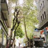 【作例あり】Canon IXY 650 コンデジ 作例あり】Canon IXY 650 コンデジ CANON IXY 650投稿画像・動画