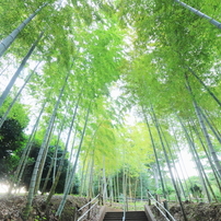 CANON(キヤノン)のレンズ EF-S10-22mm F3.5-4.5 USM で撮影した写真