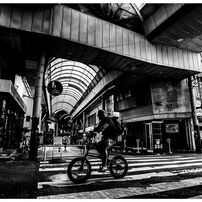 SIGMA(シグマ)のレンズ 10-20mm F3.5 EX DC HSM (ニコン用) で