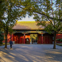 PANASONIC(パナソニック)のデジタルカメラLUMIX DMC-FX8 で撮影した