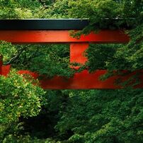 SONY(ソニー)のレンズ 135mm F2.8 [T4.5] STF SAL135F28 で撮影した