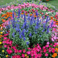 NIKON(ニコン)のデジタルカメラCOOLPIX 5000 で撮影した写真