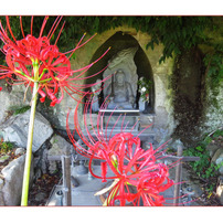 【作例あり】ジャンク Canon Powershot SX50 HS Amazon | Canon デジタルカメラ PowerShot SX50HS 約1210万画素 光学50