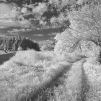 PANASONIC(パナソニック)のデジタルカメラLUMIX DMC-SZ7 で撮影