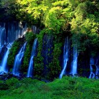 Canon - Canon EF17-40mm F4L USM 作例あり Canon（キヤノン） EF17-40mm F4L USM 実写レビュー | フォト