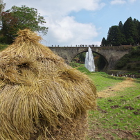 CANON(キヤノン)のデジタル一眼EOS 5D Mark II で撮影した写真(画像