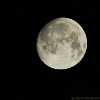 KENKO(ケンコー)のレンズ ケンコーミラーレンズ 500mm F6.3DX で撮影