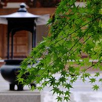 ✨極美品✨ニコン D7200 ボディ❤️わずか9,254ショット！ ニコン Nikon Z7IIボディ フルサイズミラーレスカメラ – 写真屋