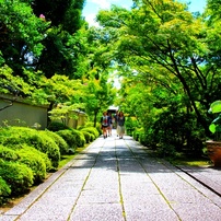 ✨七五三撮影✨Canon Kiss X5✨ストロボ付✨家族写真・発表会✨初心者✨ ✨七五三撮影✨Canon Kiss X5✨ストロボ付✨家族写真・発表会✨