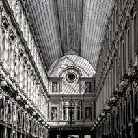 NIKON(ニコン)のデジタル一眼D5600 で撮影した写真(画像)一覧- 写真