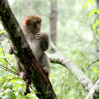 CANON(キヤノン)のレンズ EF100-300mm F4.5-5.6 USM で撮影した写真