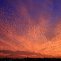 CANON(キヤノン)のデジタル一眼EOS Kiss デジタル X で撮影した写真