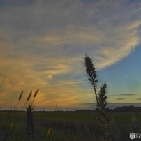 Panasonic LUMIX DMC-TZ3 デジタルカメラ 作例あり LUMIX DMC-TZ3で撮影された写真 | 写真検索 | GANREF