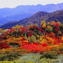 PENTAX(ペンタックス)のレンズ FA645ズーム 45～85mmF4.5 で撮影した
