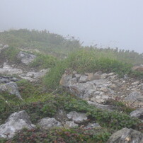 CANON(キヤノン)のデジタルカメラPowerShot A520 で撮影した写真(画像