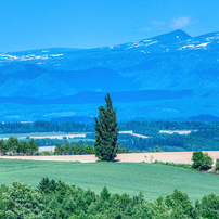 NIKON(ニコン)のレンズ AF-S NIKKOR 28-300mm f/3.5-5.6G ED VR で撮影