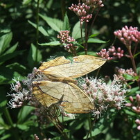 FUJIFILM(富士フイルム)のデジタルカメラFinePix F200EXR で撮影した