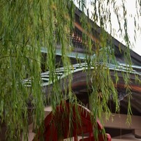 NIKON(ニコン)のデジタル一眼D5100 で撮影した写真(画像)一覧- 写真