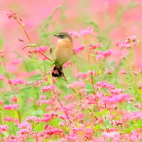 OLYMPUS(オリンパス)のレンズ M.ZUIKO DIGITAL ED 150-400mm F4.5 TC1
