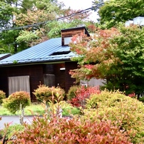 CANON(キヤノン)のデジタルカメラPowerShot SX70 HS で撮影した写真