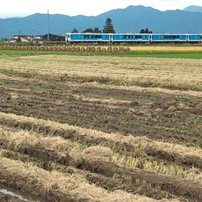 SIGMA(シグマ)のレンズ 17-50mm F2.8 EX DC OS HSM [シグマ用] で撮影