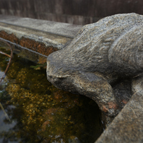 TAMRON(タムロン)のレンズ SP AF 10-24mm F/3.5-4.5 Di II LD