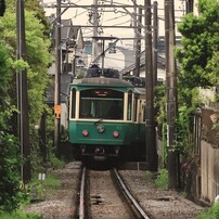 CANON(キヤノン)のレンズ EF75-300mm F4-5.6 IS USM で撮影した写真