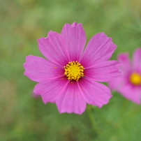 NIKON(ニコン)のレンズ AF-S NIKKOR 28mm f/1.8G で撮影した写真(画像