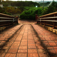 SONY(ソニー)のデジタルカメラサイバーショット DSC-L1 で撮影した写真