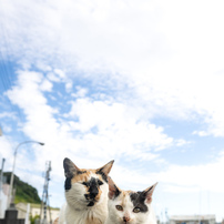 お母ちゃんと一緒