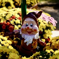 SIGMA(シグマ)のレンズ 30mm F2.8 DN ブラック [マイクロフォーサーズ