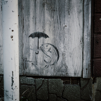 SONY(ソニー)のレンズ Vario-Sonnar T＊ DT 16-80mm F3.5-4.5 ZA