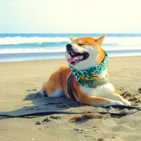 きもちぃーーーーーーー！