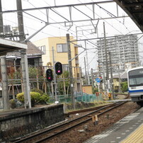 OLYMPUS(オリンパス)のデジタルカメラSP-600UZ で撮影した写真(画像